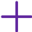 Plus Plum